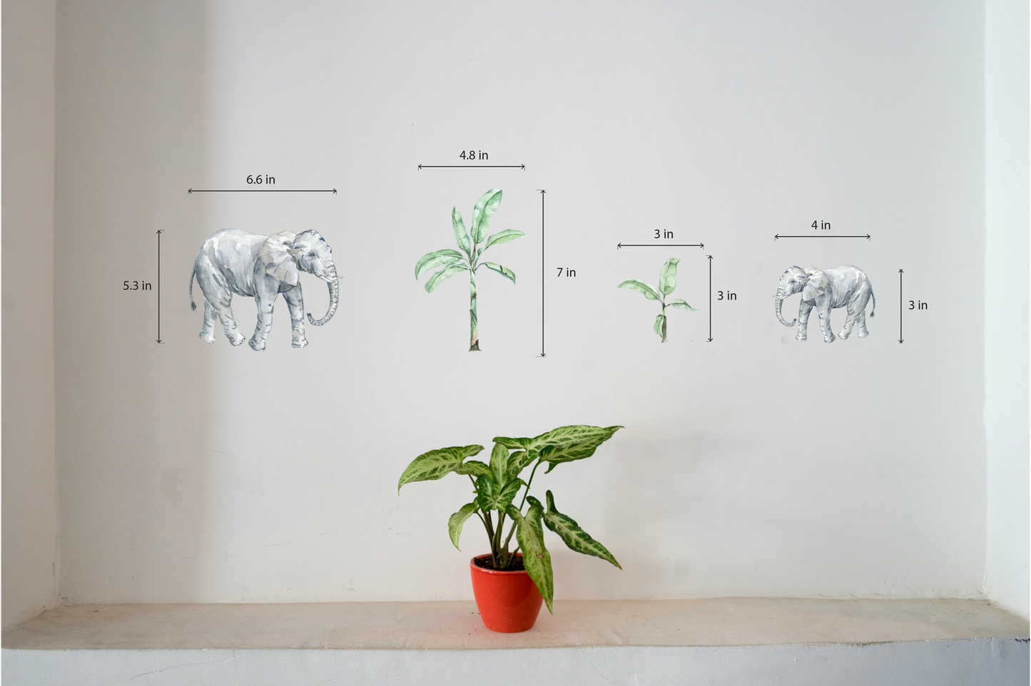 A Walk Through the Wild (set of 4)