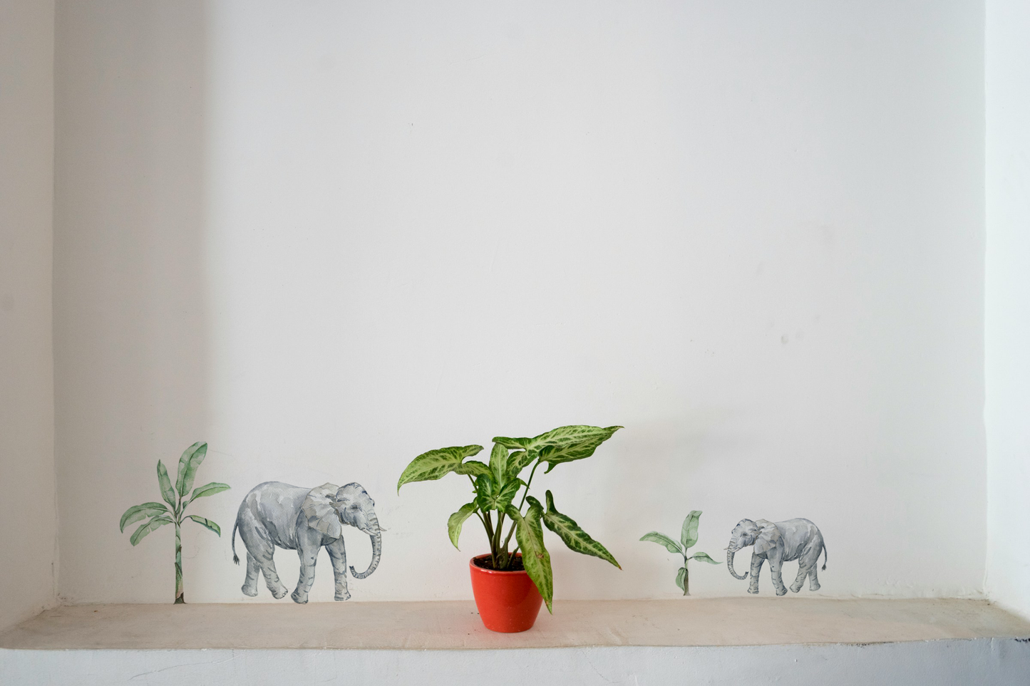 A Walk Through the Wild (set of 4)