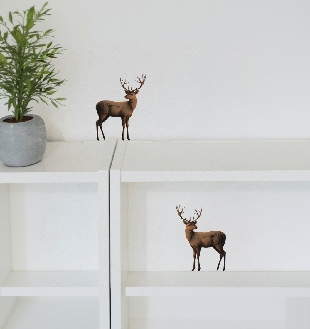 Stag duo