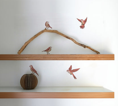 Birdsong Bliss (set of 5)