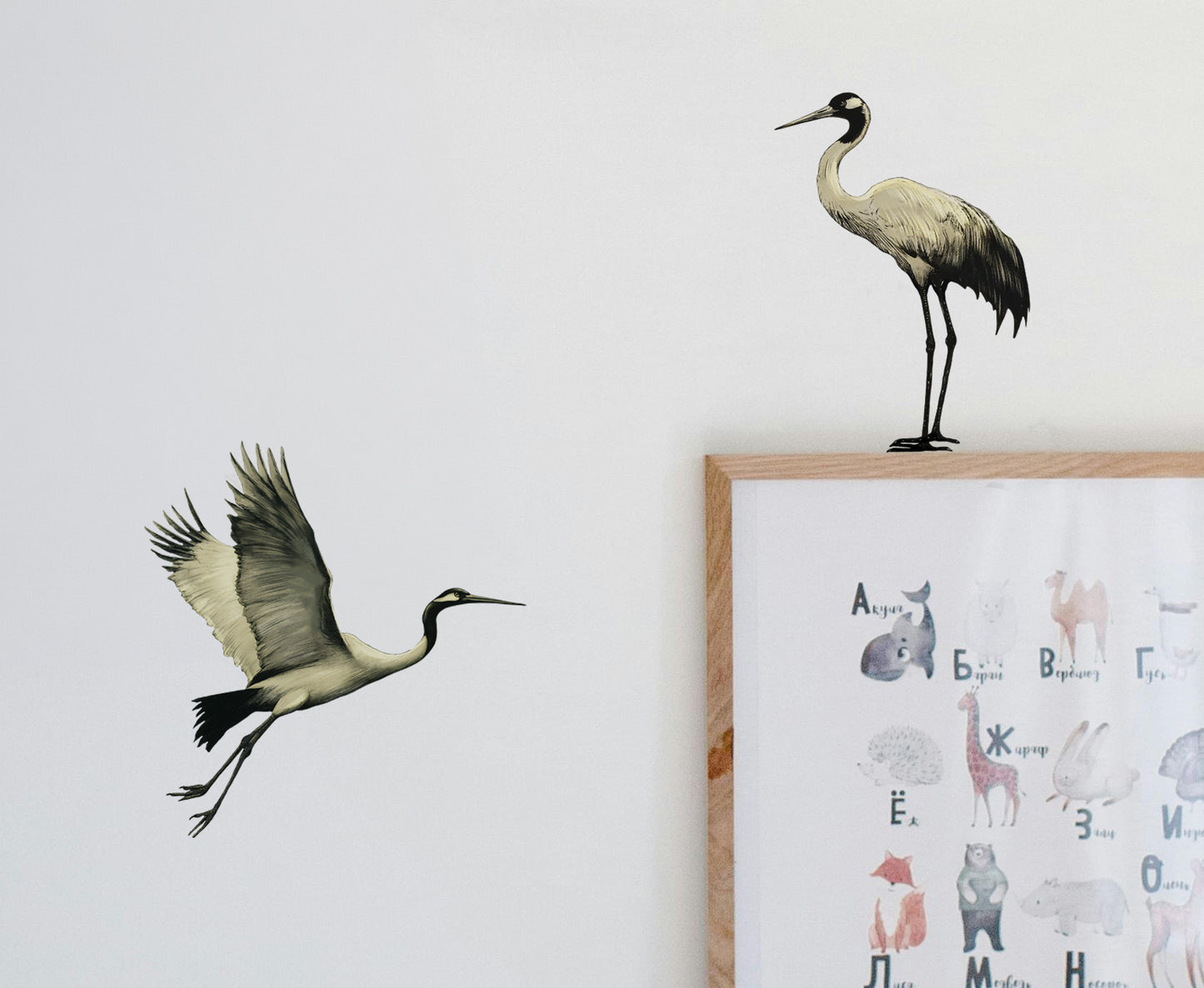 Graceful Crane