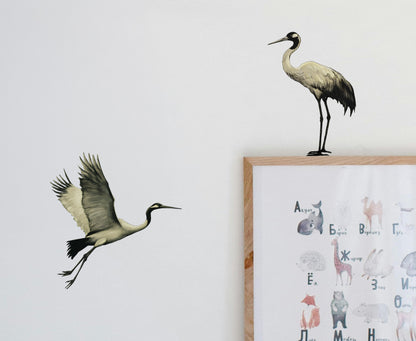 Graceful Crane