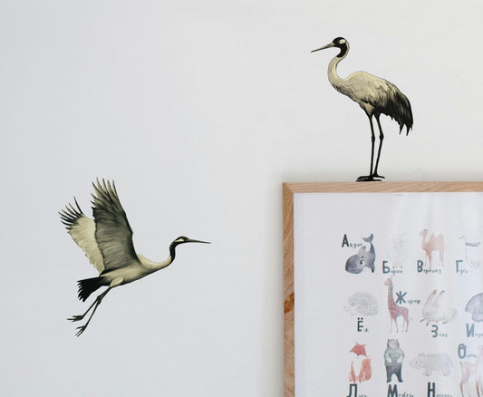 Graceful Crane