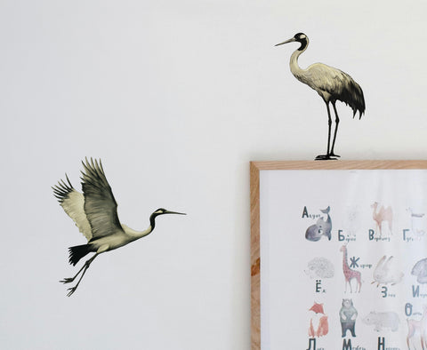 Graceful Crane