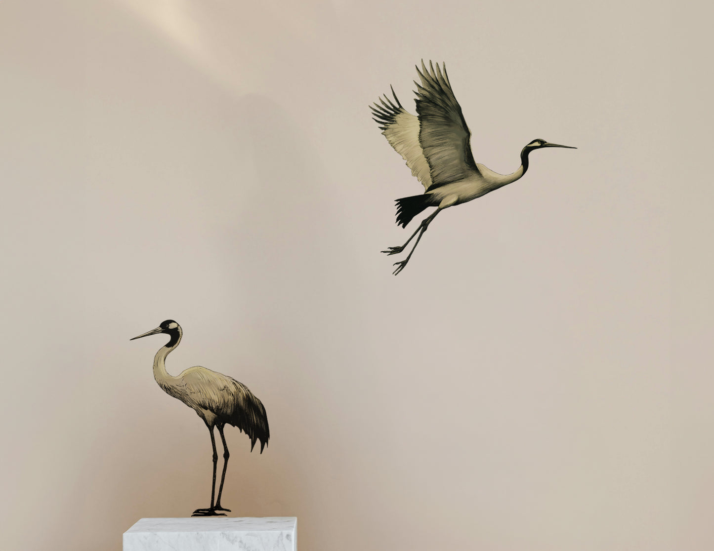 Graceful Crane