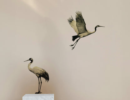 Graceful Crane