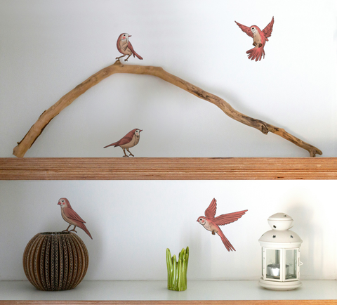 Birdsong Bliss  (set of 5)